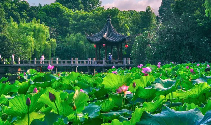 Little-Lotus-Garden-Huzhou